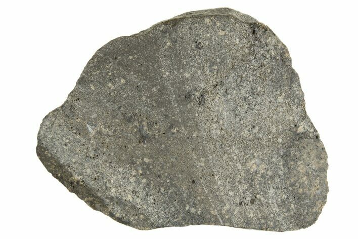 Eucrite Meteorite ( g) Section - From Vesta Minor-Planet #304282